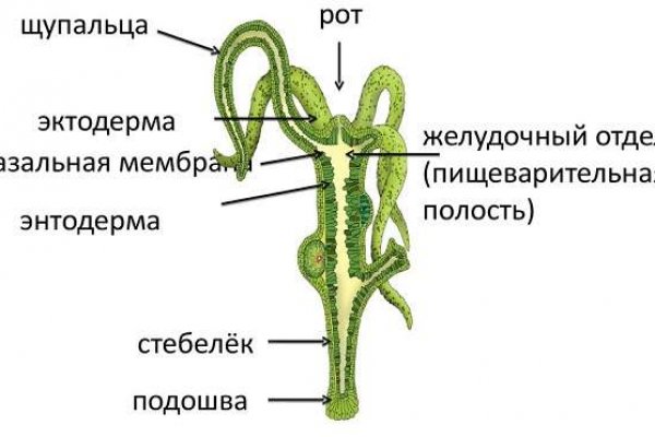 Dark net официальный сайт