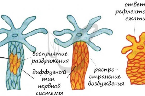Kra44.cc Вход на сайт главная страница